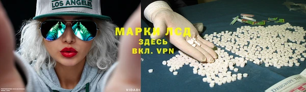 прущие грибы Алексеевка