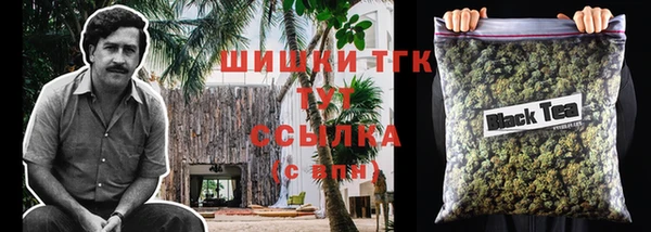 прущие грибы Алексеевка
